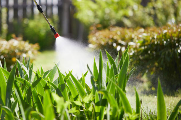 24/7 Emergency Ant Control experts in Reynoldsburg, OH